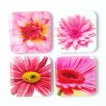 Magnets - Pretty in Pink - ..