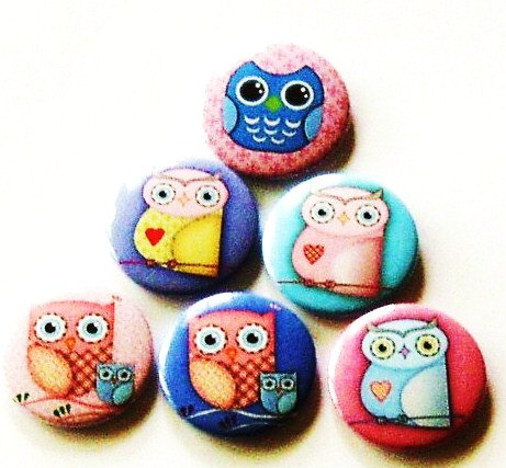 Fridge magnets - Set of 6 Owl refrigerator magnets