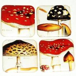 Magnets, Fridge magnet - Mushroom magnets (fms2)
